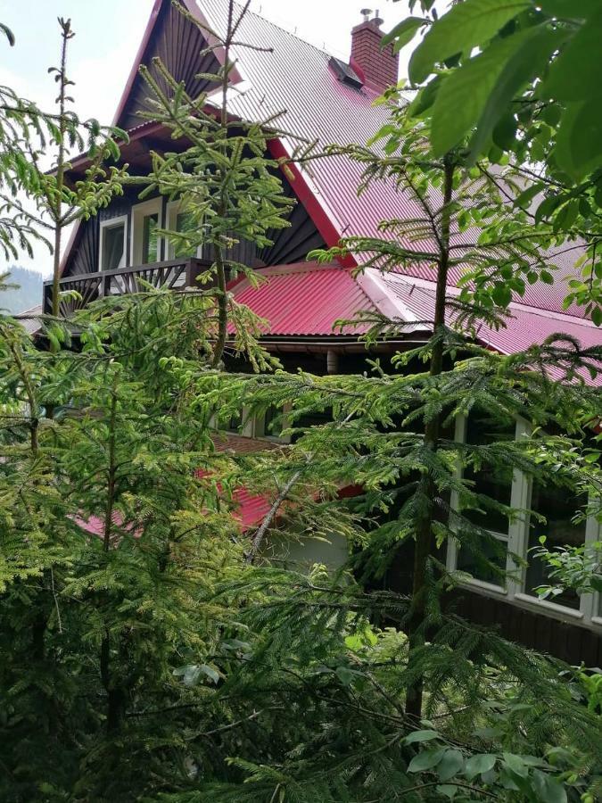 Willa Wislok Wisla Ngoại thất bức ảnh